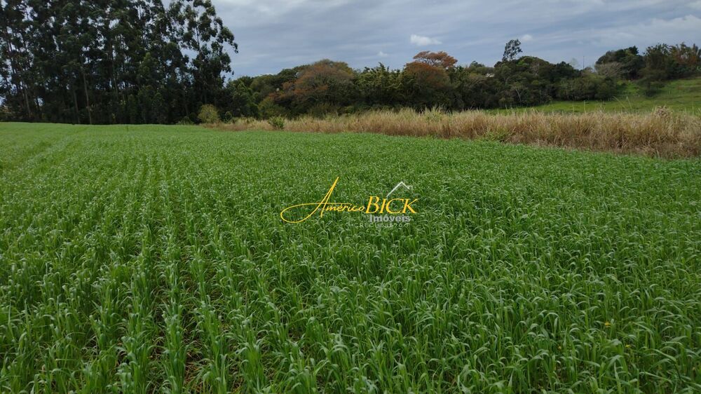 Fazenda à venda, 94600m² - Foto 1