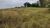 Fazenda, 9 hectares - Foto 3