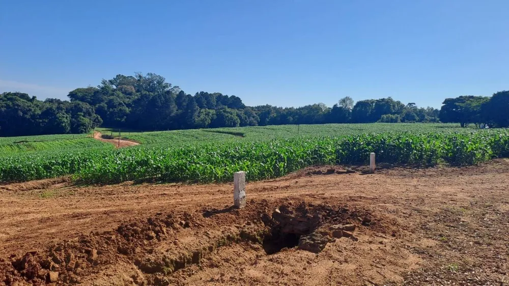 Chácara, 2 quartos, 4 hectares - Foto 6