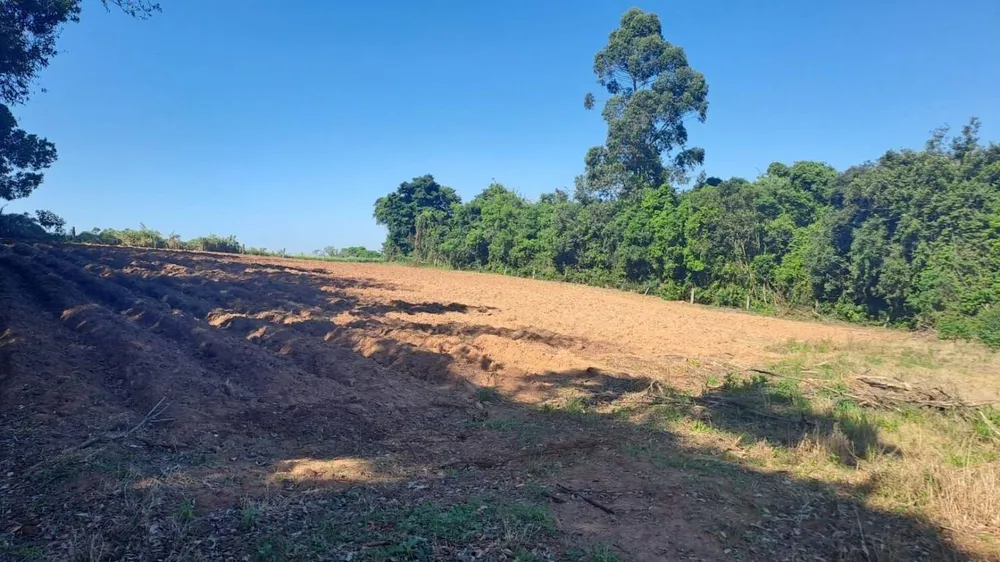 Chácara, 2 quartos, 4 hectares - Foto 3