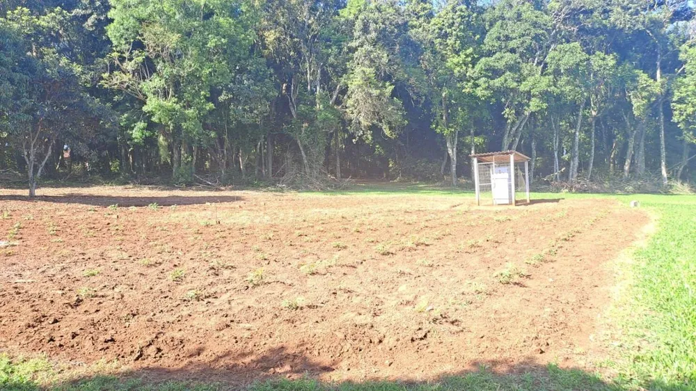 Chácara, 2 quartos, 4 hectares - Foto 4