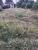 Terreno, 250 m² - Foto 1