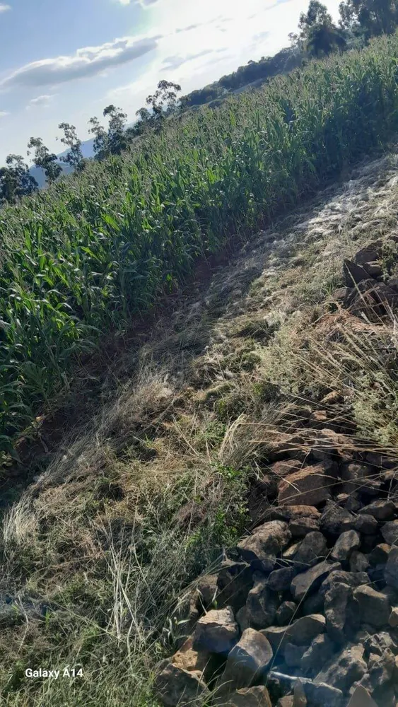 Sítio, 2 quartos, 13 hectares - Foto 4