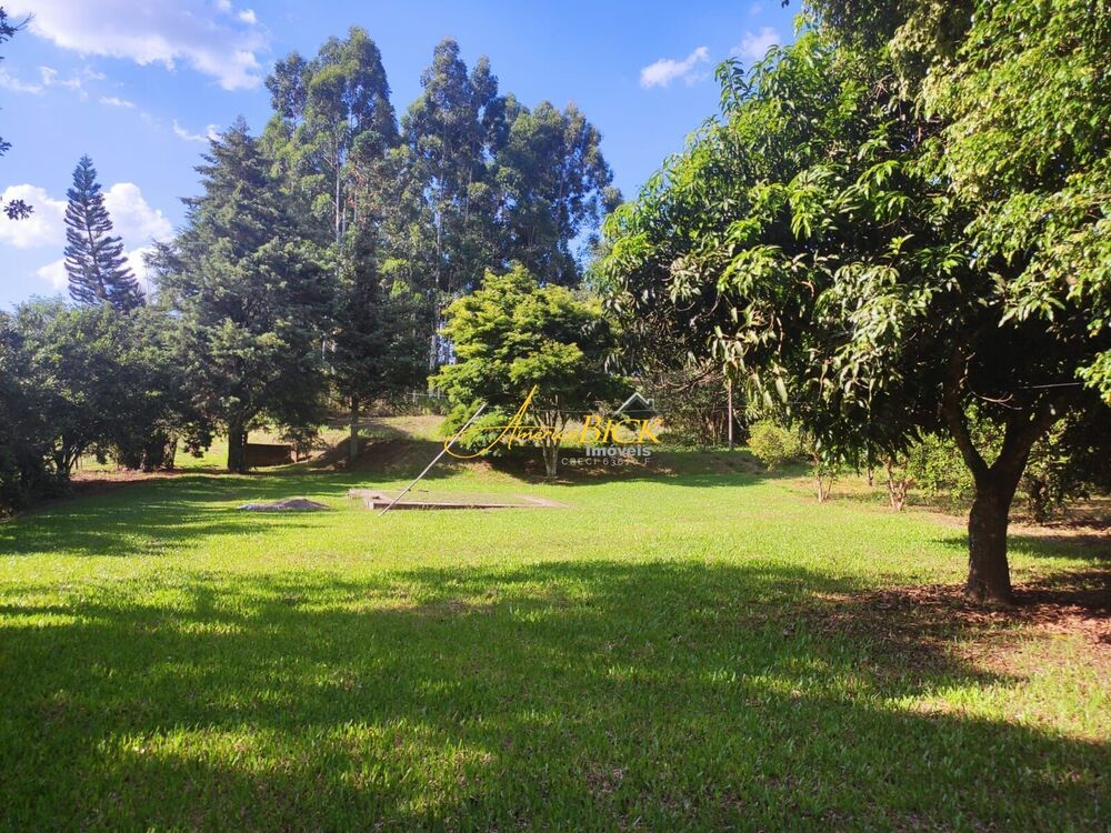 Sítio, 3 quartos, 10000 m² - Foto 4