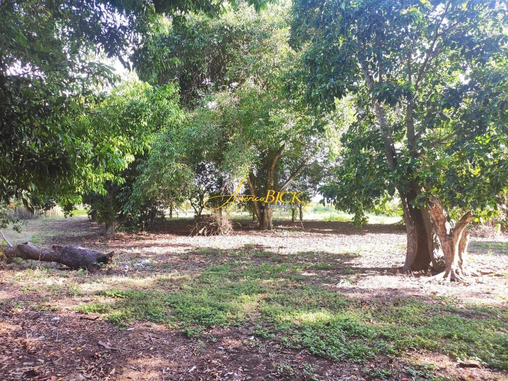 Sítio, 3 quartos, 10000 m² - Foto 1