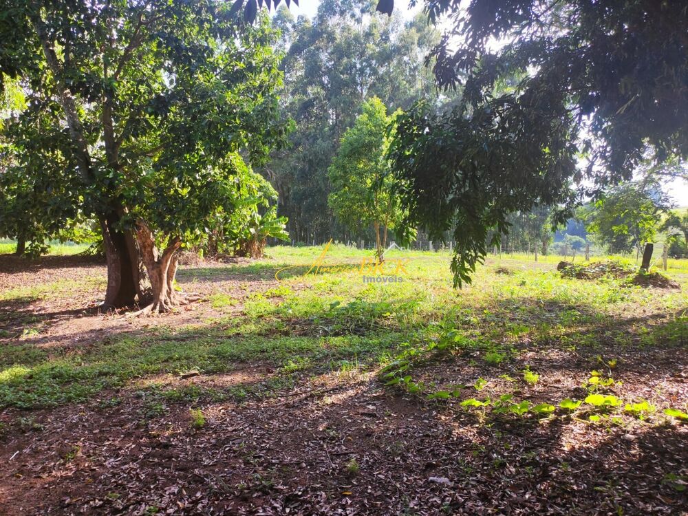 Sítio, 3 quartos, 10000 m² - Foto 2