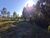 Terreno, 3 hectares - Foto 3