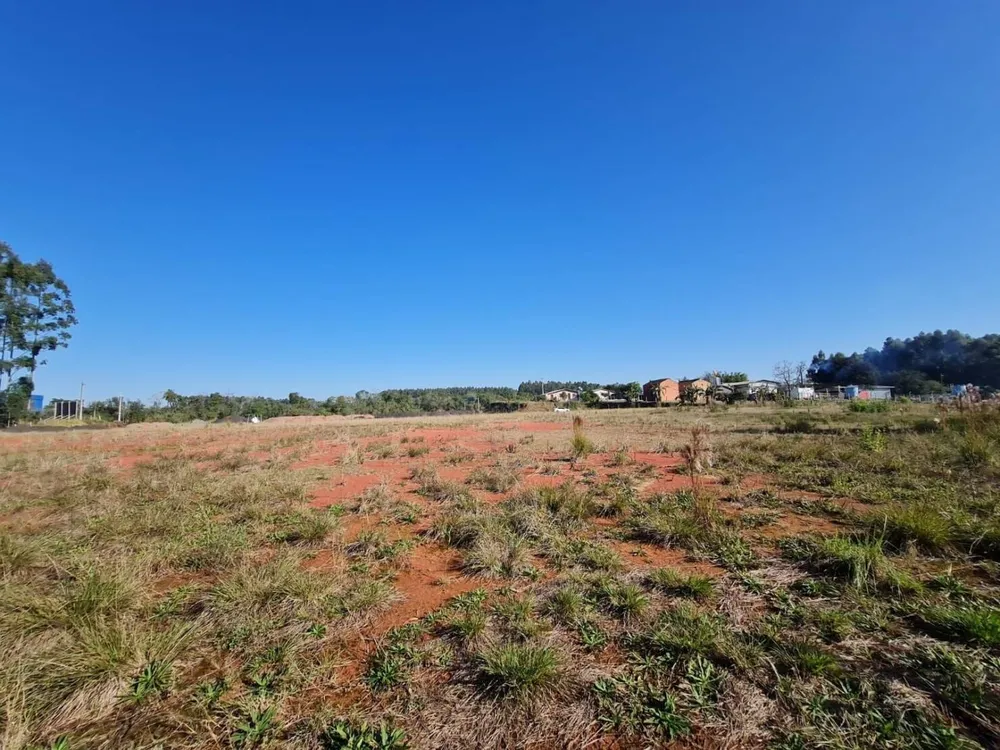 Terreno, 3 hectares - Foto 7