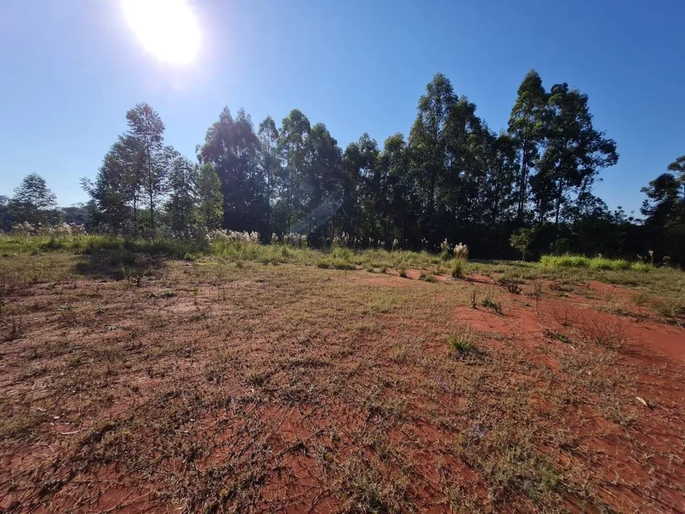 Terreno, 3 hectares - Foto 1