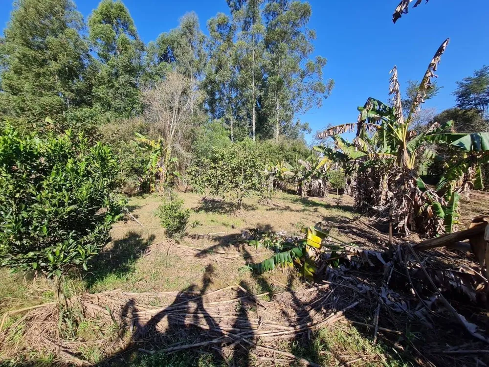 Terreno, 3 hectares - Foto 2