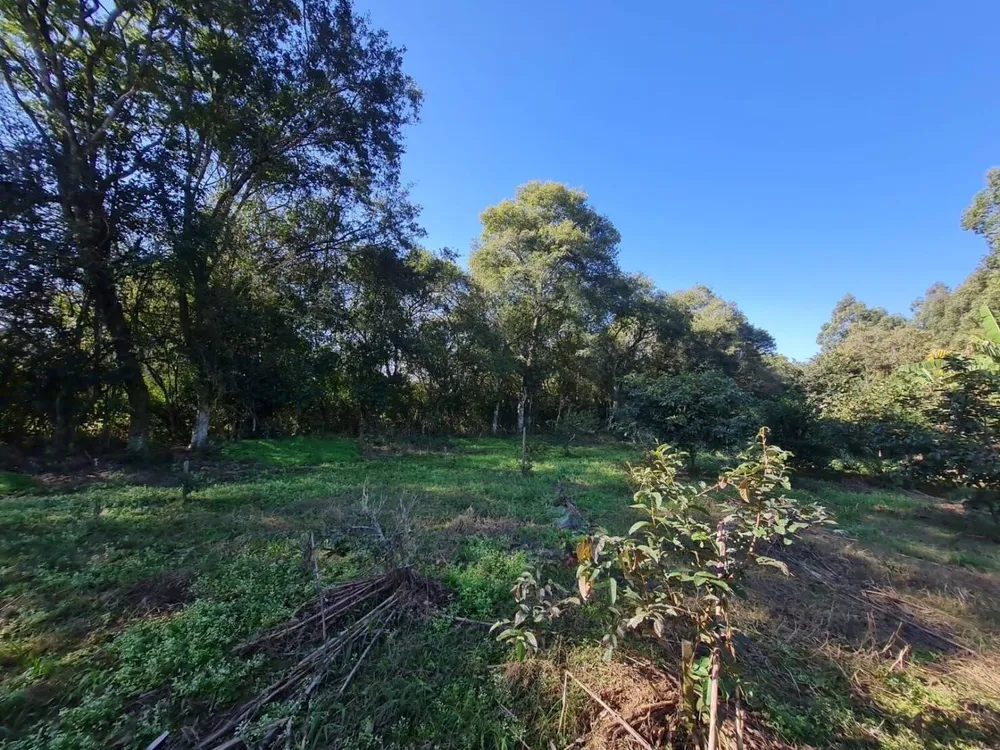 Terreno, 3 hectares - Foto 8