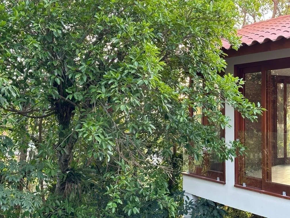 Casa, 3 quartos, 450 m² - Foto 1