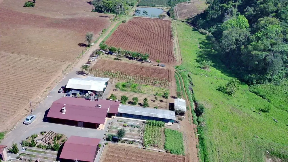 Terreno - Foto 3