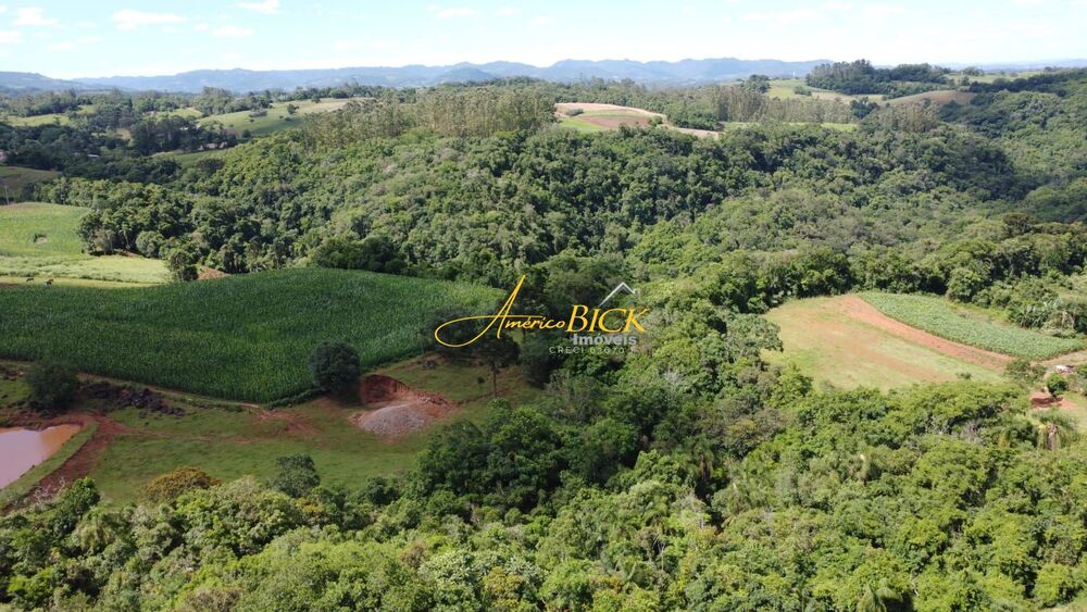 Fazenda, 25 hectares - Foto 3
