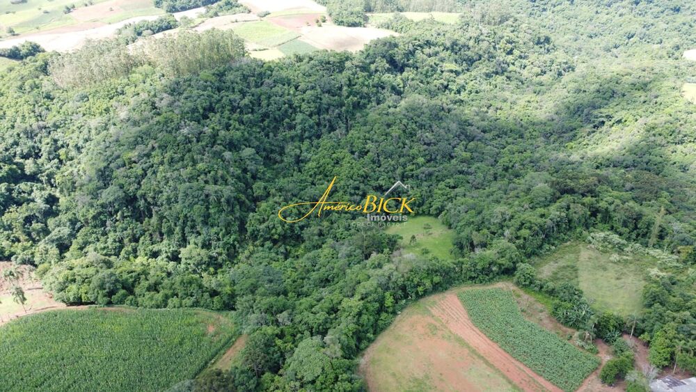Fazenda, 25 hectares - Foto 4