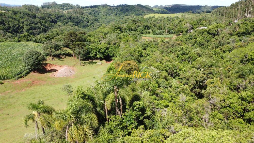 Fazenda, 25 hectares - Foto 2