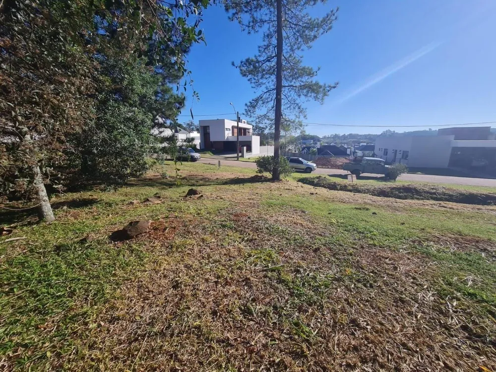 Terreno, 336 m² - Foto 4