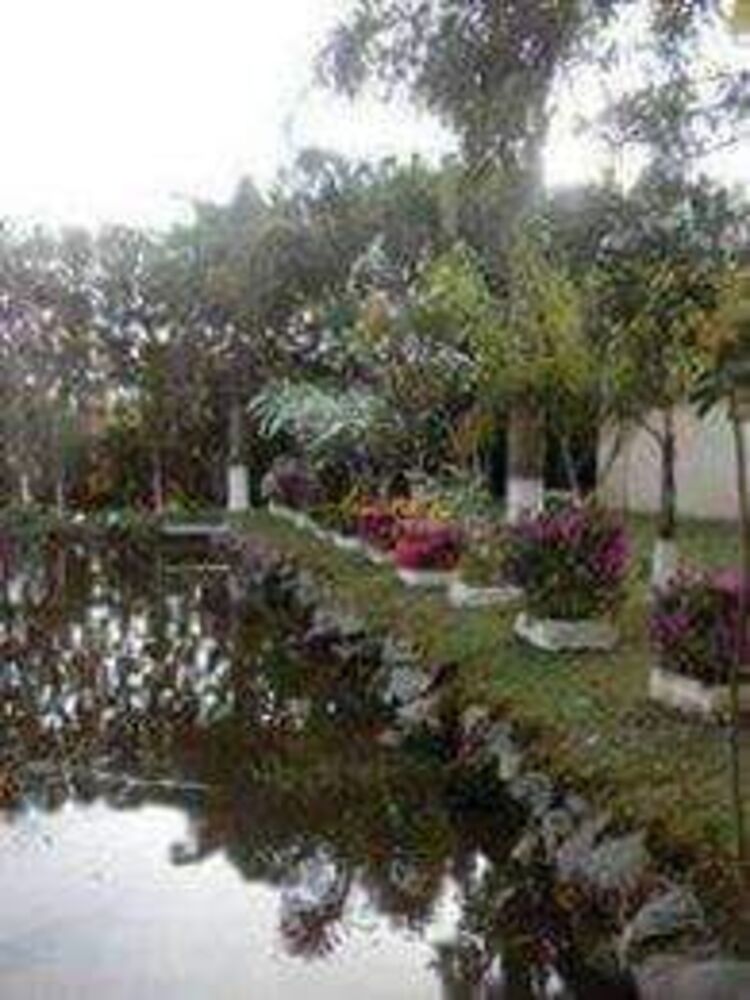 Chácara à venda com 3 quartos, 1872m² - Foto 4