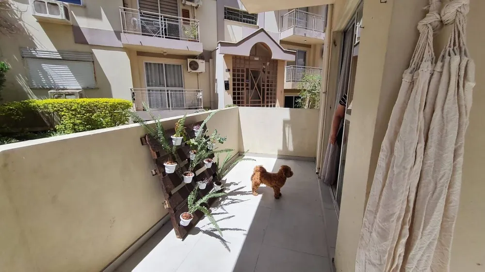 Apartamento, 3 quartos, 79 m² - Foto 19