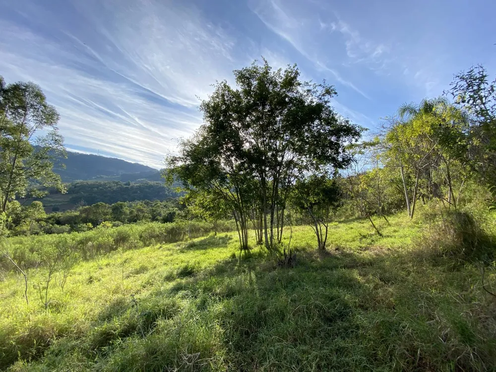 Terreno, 45 m² - Foto 8