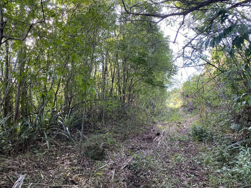 Terreno, 45 m² - Foto 1