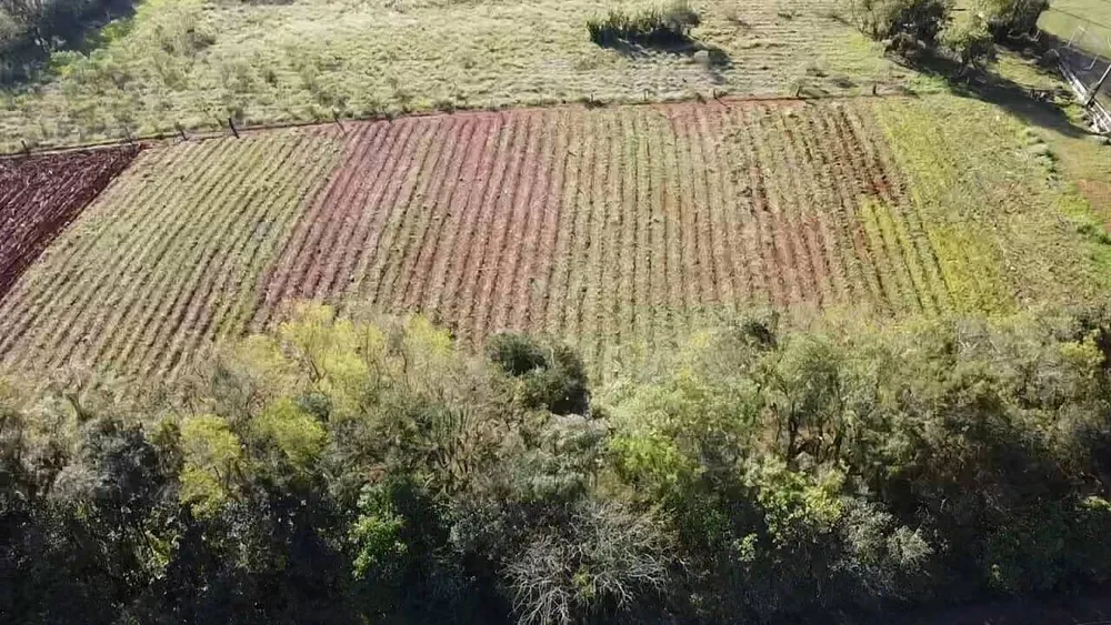 Terreno, 850 m² - Foto 2