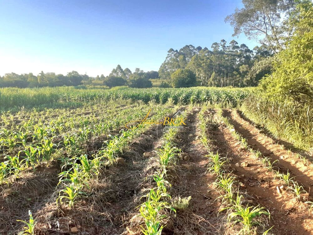 Sítio, 4 quartos, 13 hectares - Foto 4