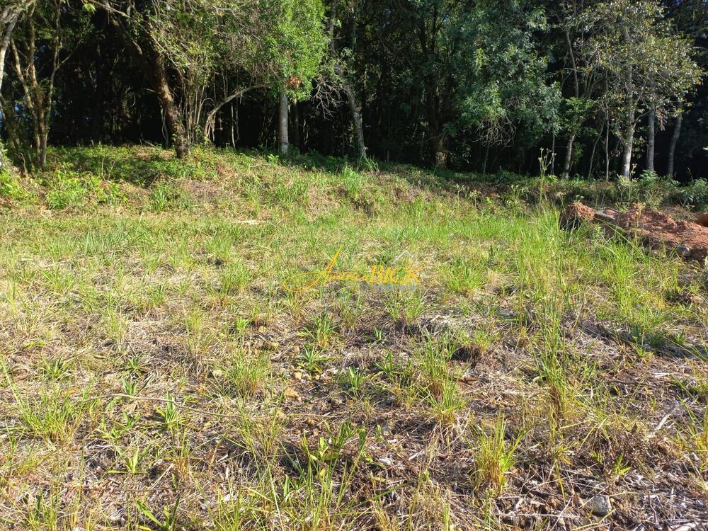 Terreno à venda, 420m² - Foto 3