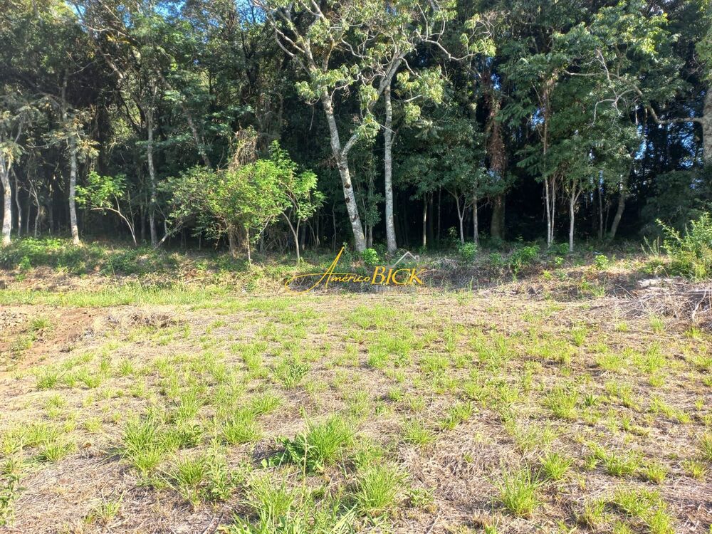 Terreno à venda, 420m² - Foto 2