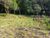 Terreno, 420 m² - Foto 4