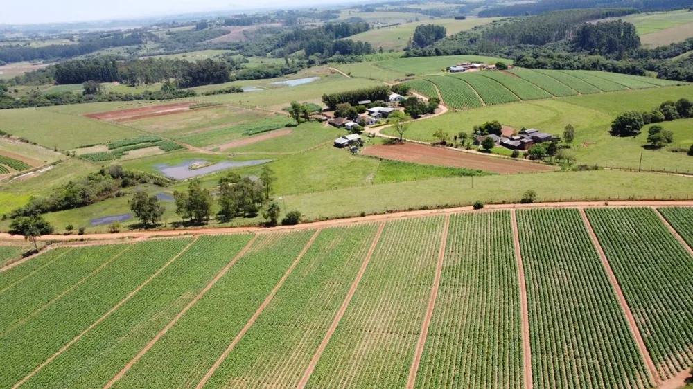 Terreno, 2 hectares - Foto 2