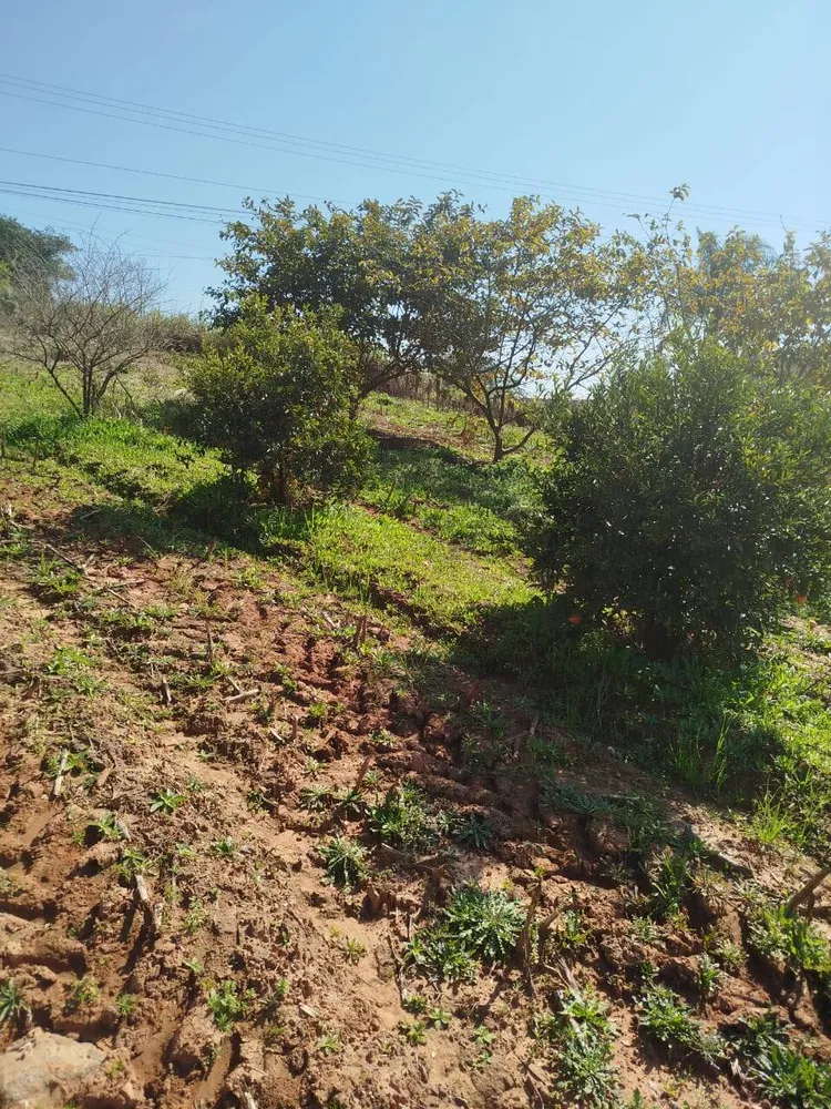 Terreno, 6300 m² - Foto 3