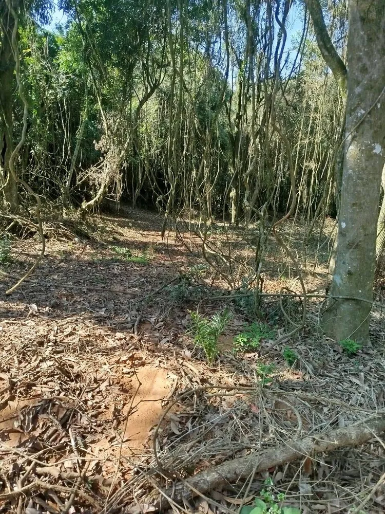Terreno, 6300 m² - Foto 2