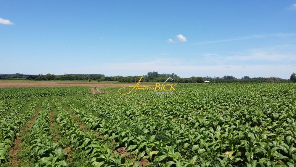 Sítio, 2 quartos, 7 hectares - Foto 1