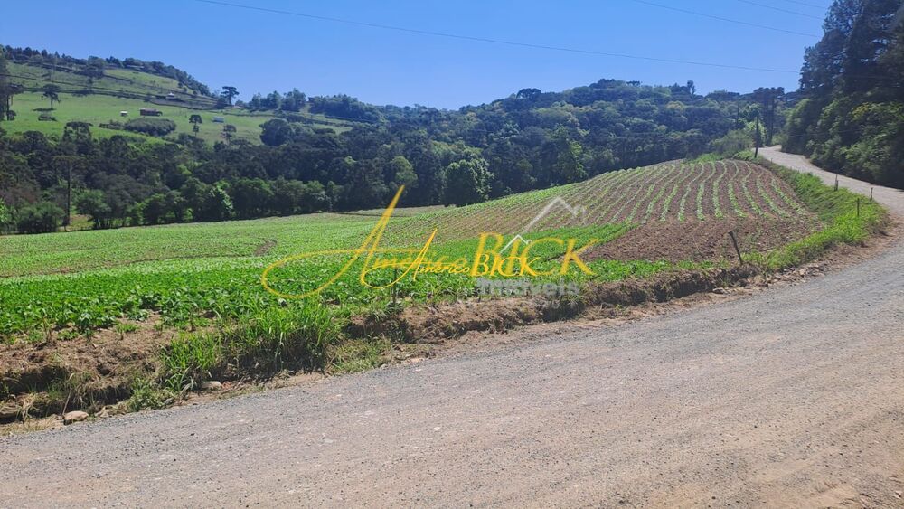 Sítio, 2 quartos, 16 hectares - Foto 1