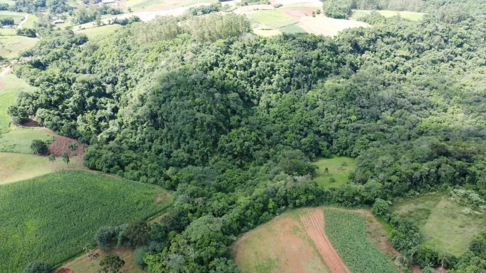 Terreno, 3 hectares - Foto 1