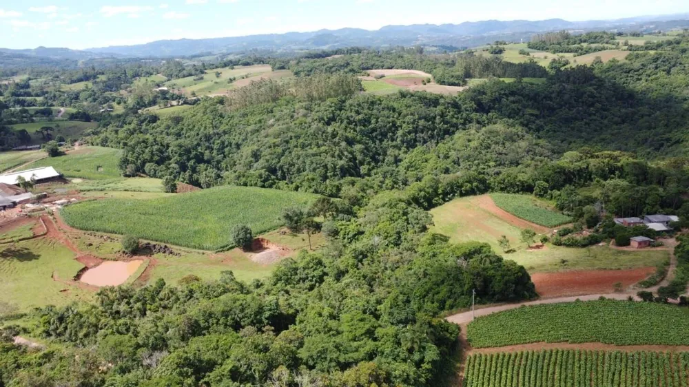 Terreno, 3 hectares - Foto 3