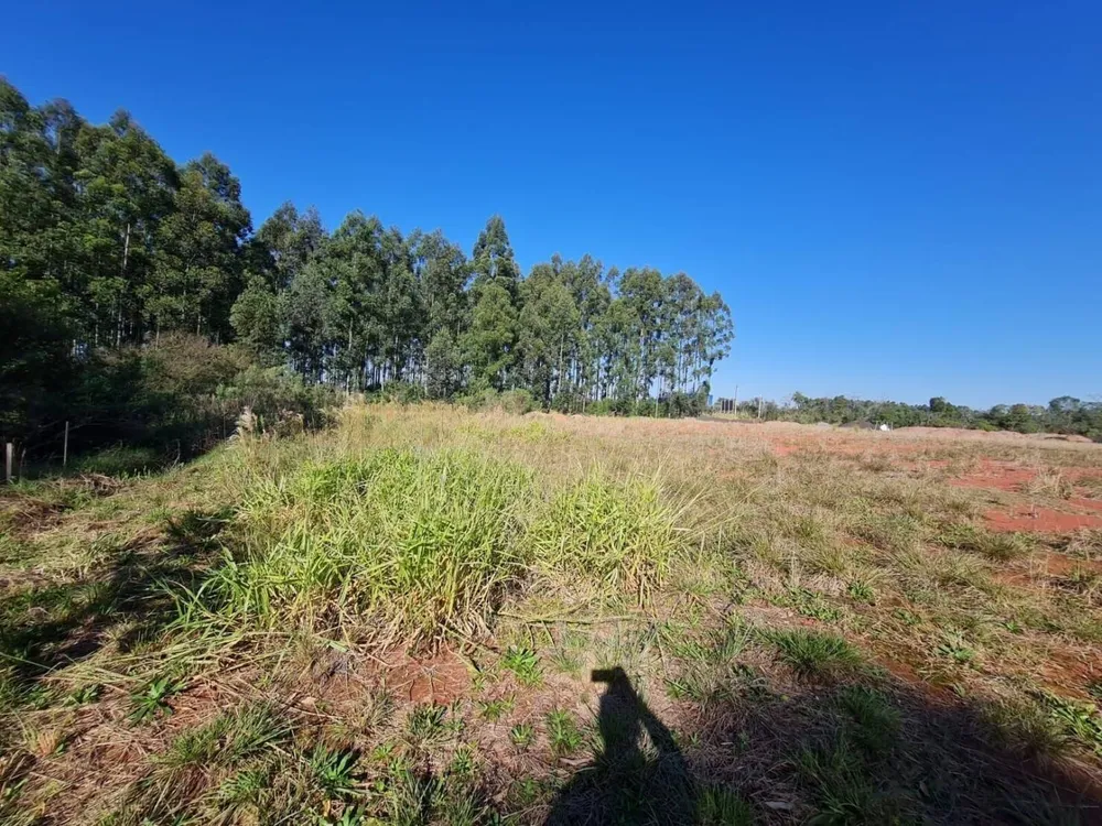 Loja-Salão, 26000 m² - Foto 1