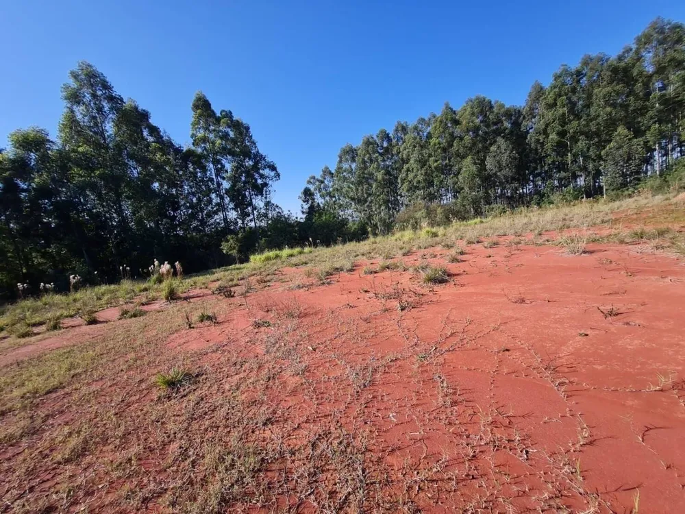 Loja-Salão, 26000 m² - Foto 2