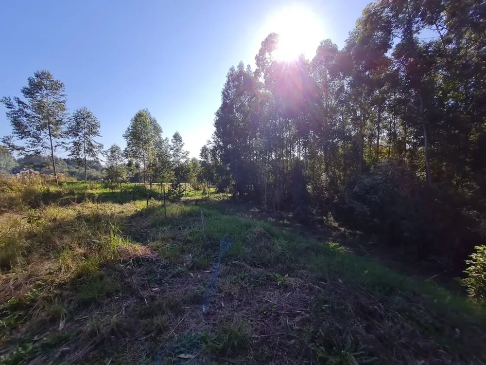 Loja-Salão, 26000 m² - Foto 3