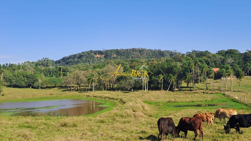Fazenda, 2 hectares - Foto 8