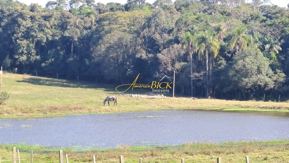 Fazenda, 2 hectares - Foto 2