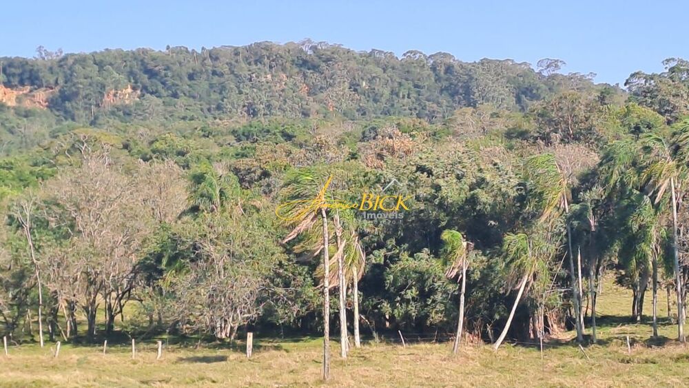 Fazenda, 2 hectares - Foto 7