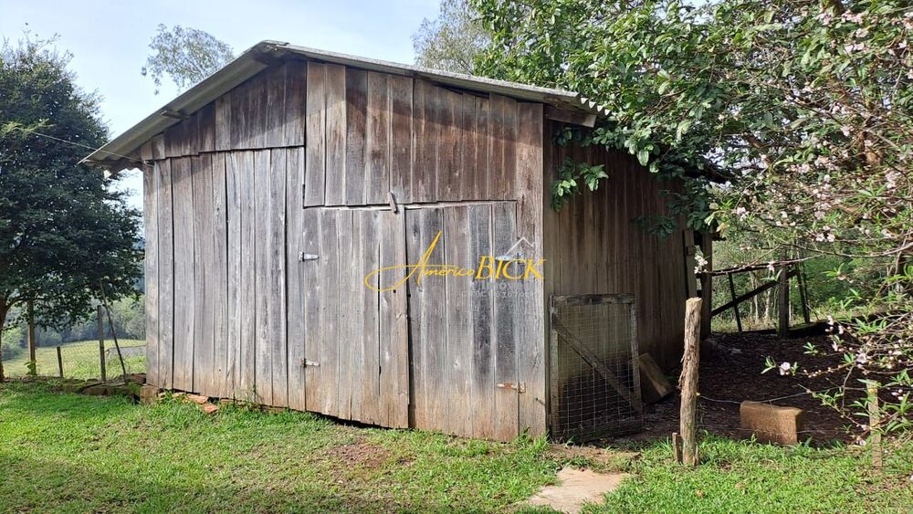 Sítio, 3 quartos, 100 m² - Foto 4