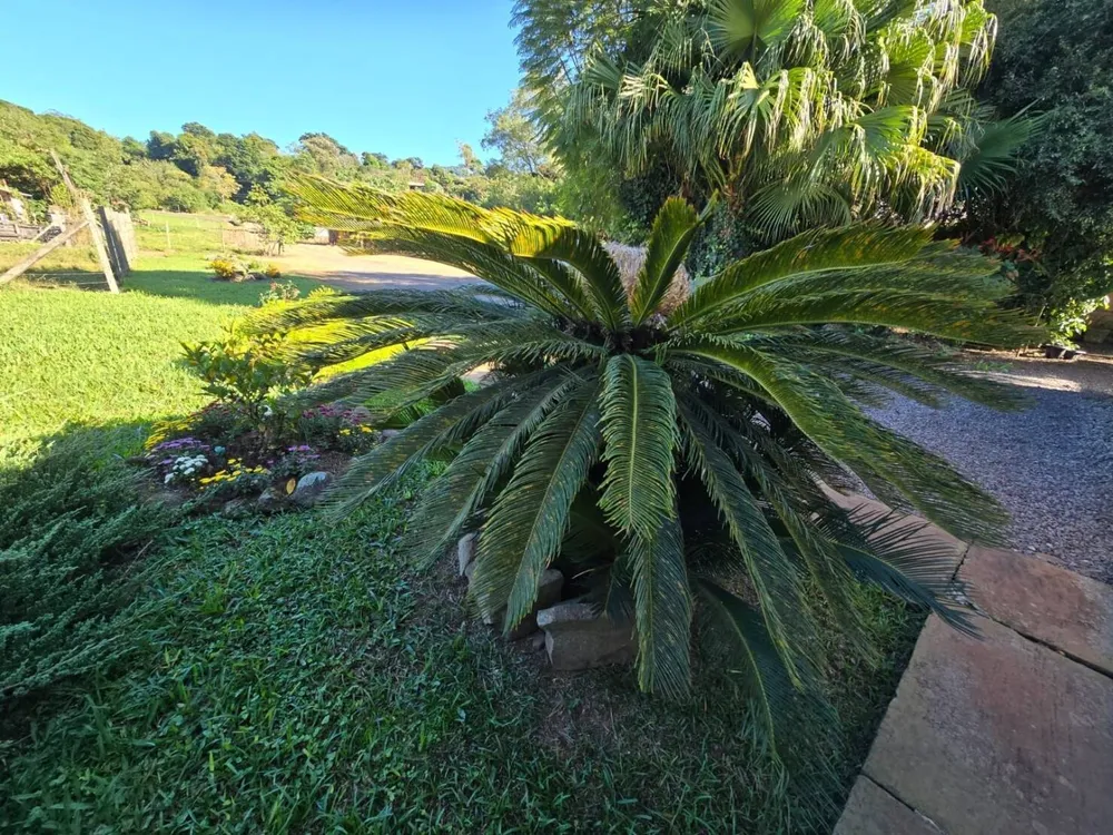 Chácara, 3 quartos, 4684 m² - Foto 5