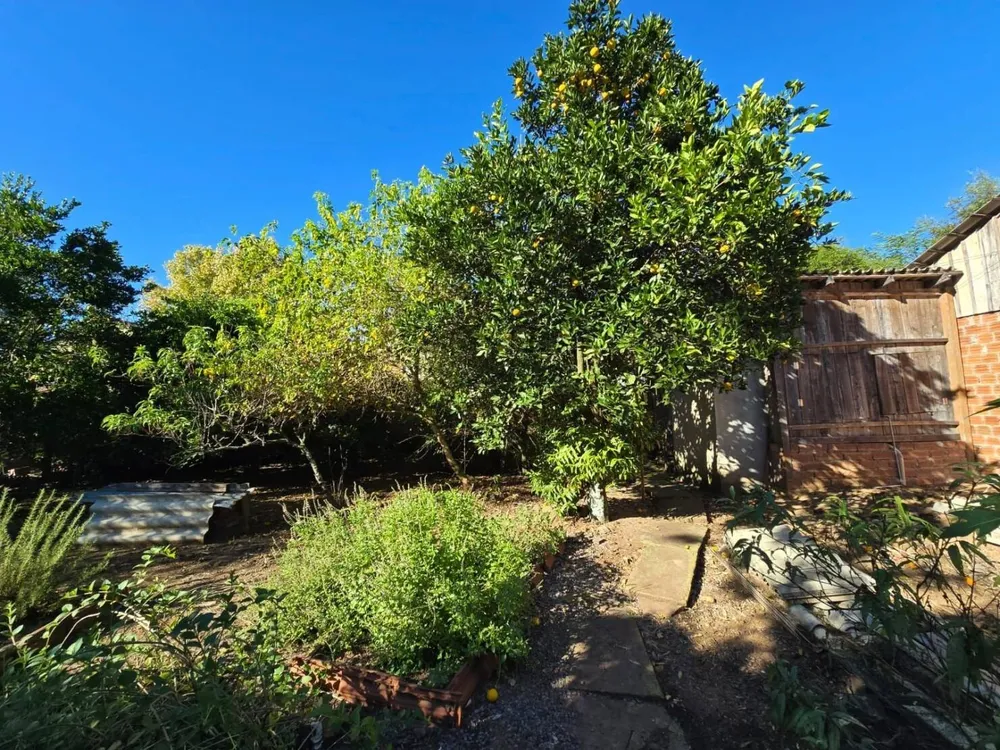 Chácara, 3 quartos, 4684 m² - Foto 8