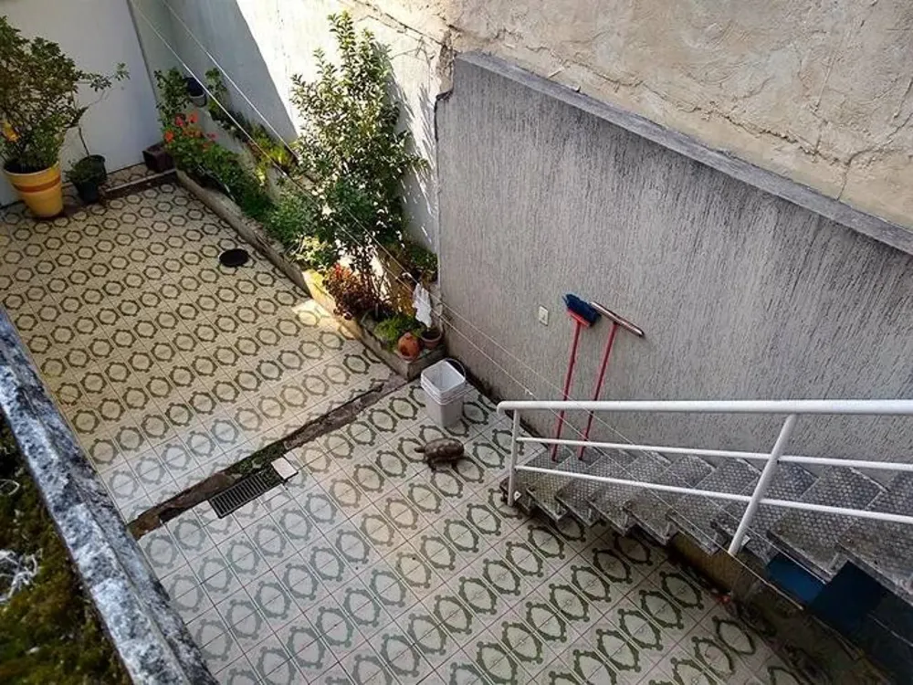 Casa, 3 quartos, 184 m² - Foto 4