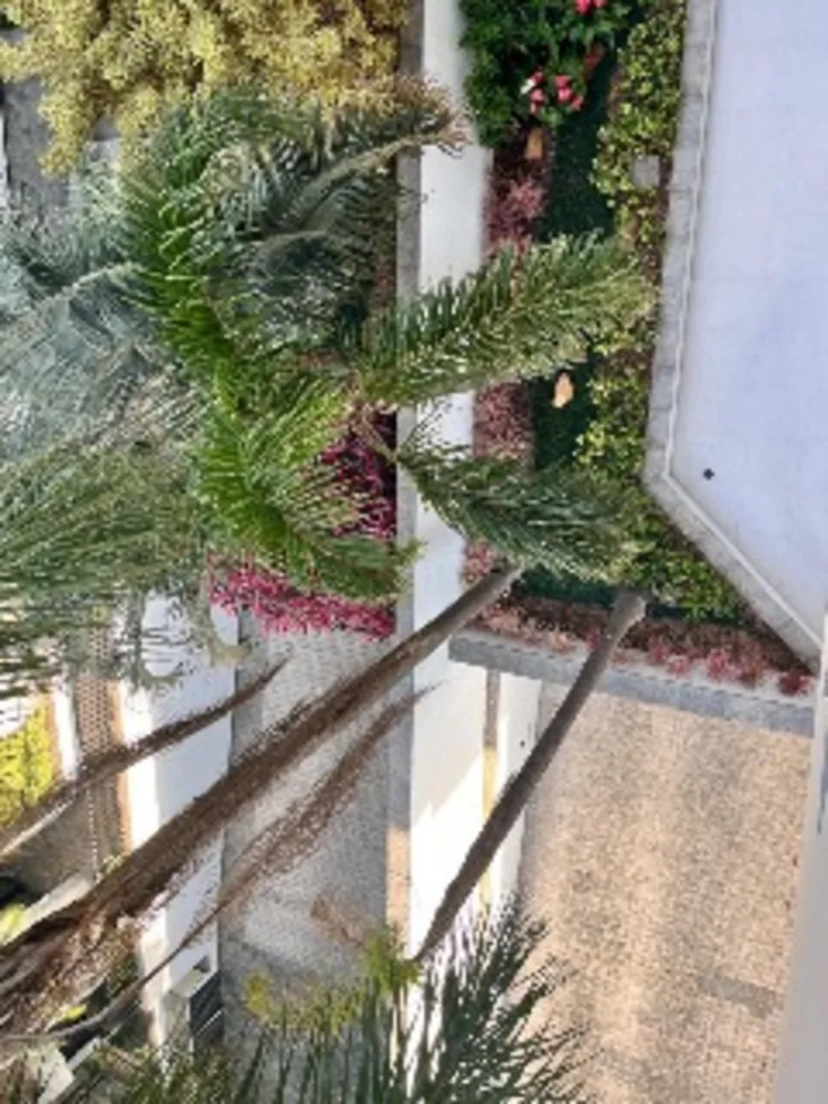 Apartamento, 4 quartos, 229 m² - Foto 3