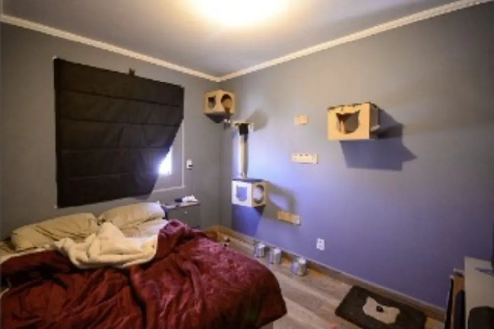 Apartamento, 2 quartos, 53 m² - Foto 7