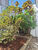 Casa, 2 quartos, 171 m² - Foto 4